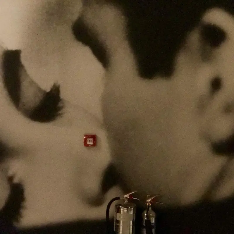 Close-up of a black-and-white digital-print mural of a classic film kiss, the Everyman cinema, Liverpool.