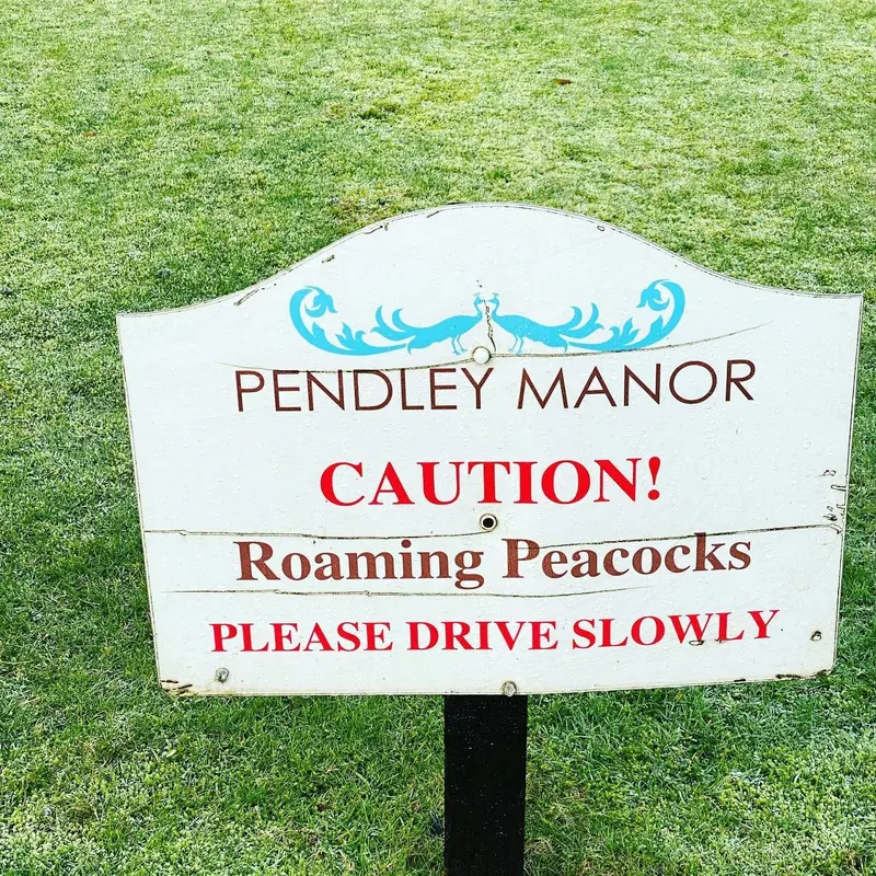 'Pendley Manor, Caution! Roaming Peacocks' sign on the hotel lawn.