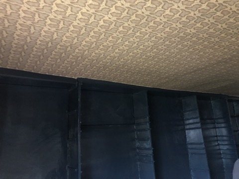 Serpentis snakeskin pattern on the ceiling above dark-blue joinery.