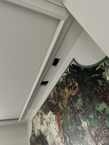 Guest room in progress with a shaped Tropical Clouded Leopard headboard panel.